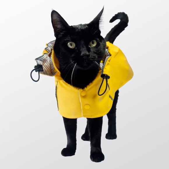 🐾 Cat Raincoat Waterproof Pet Rain Jacket Vintage Fisherman style Coat  🐾 - Picture 5 of 9